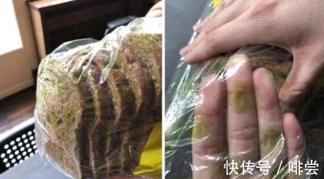 轮胎公司|生肉造型的大理石装置,溅满水滴的马桶圈,这些怪设计让人崩溃
