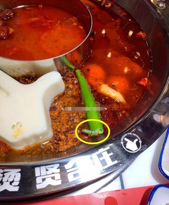 螺蛳粉 明星餐厅也不靠谱李子柒螺狮粉吃出苍蝇,陈赫火锅出现毛毛虫