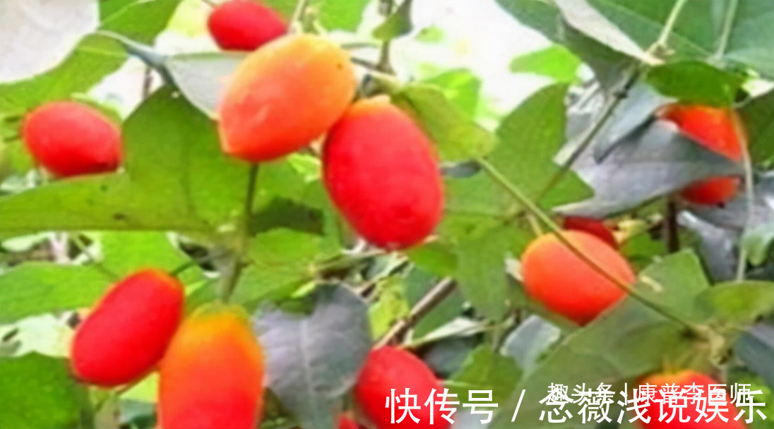 排毒|会吃的人身体好,三种食物坚持吃,营养丰富,排毒活血,更显年轻