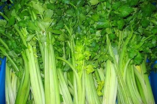 春天来了，不想生病要吃的食物，补血嫩肤，清理垃圾，预防疾病