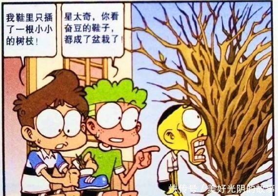 高茜|星太奇奋豆“爱心甜点”高茜吐血，最强王者“坏小孩”注孤生！