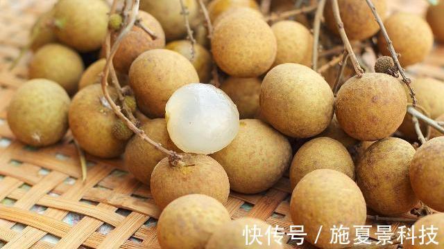 淡化|女人最好的“胶原蛋白”,没事吃两口,淡化皱纹,做“冻龄女神”