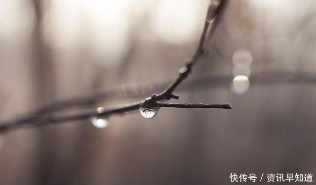 一声声一更更,点滴芭蕉心欲碎,7首古诗词,听雨落下的声音