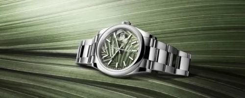 逢绿必火？绿色腕表究竟有什么魔力！