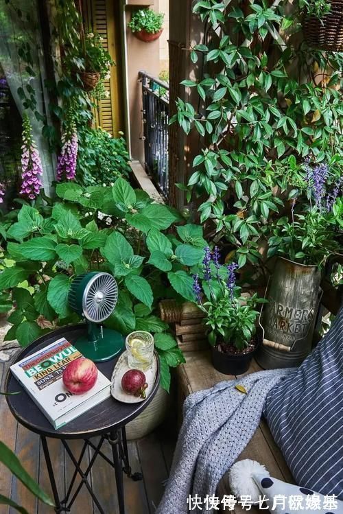 花盆|这样的阳台,那院子我也不换,美得太过分,今生只做个闲人了!