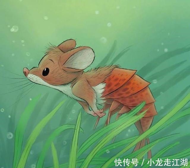 作品|插画师Chelsea Trousdale作品欣赏