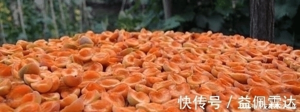 维生素b1|全球唯一无癌症的国家,62万国民无一人患癌,他们常吃这3种食物