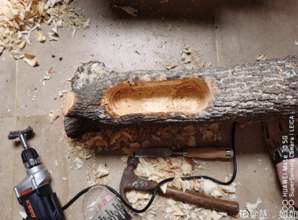 diy|别人不要的烂木桩,我捡回家种多肉,价值翻了20倍!