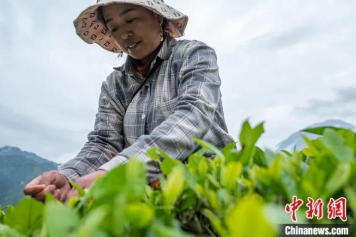 秘境|人这一辈子，一定要去一趟高原秘境墨脱……