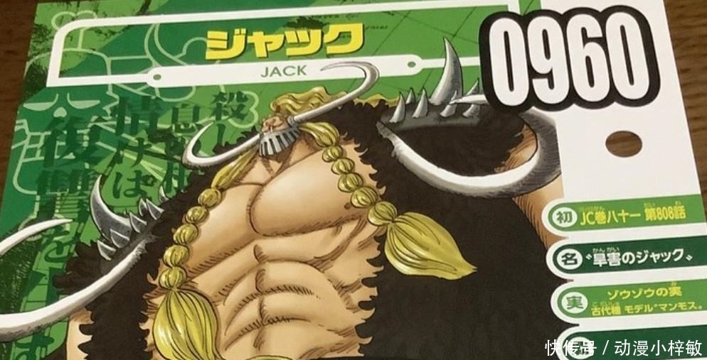 海贼王|海贼王:官方公布杰克生命卡,连霸气都没有,年龄才28岁!