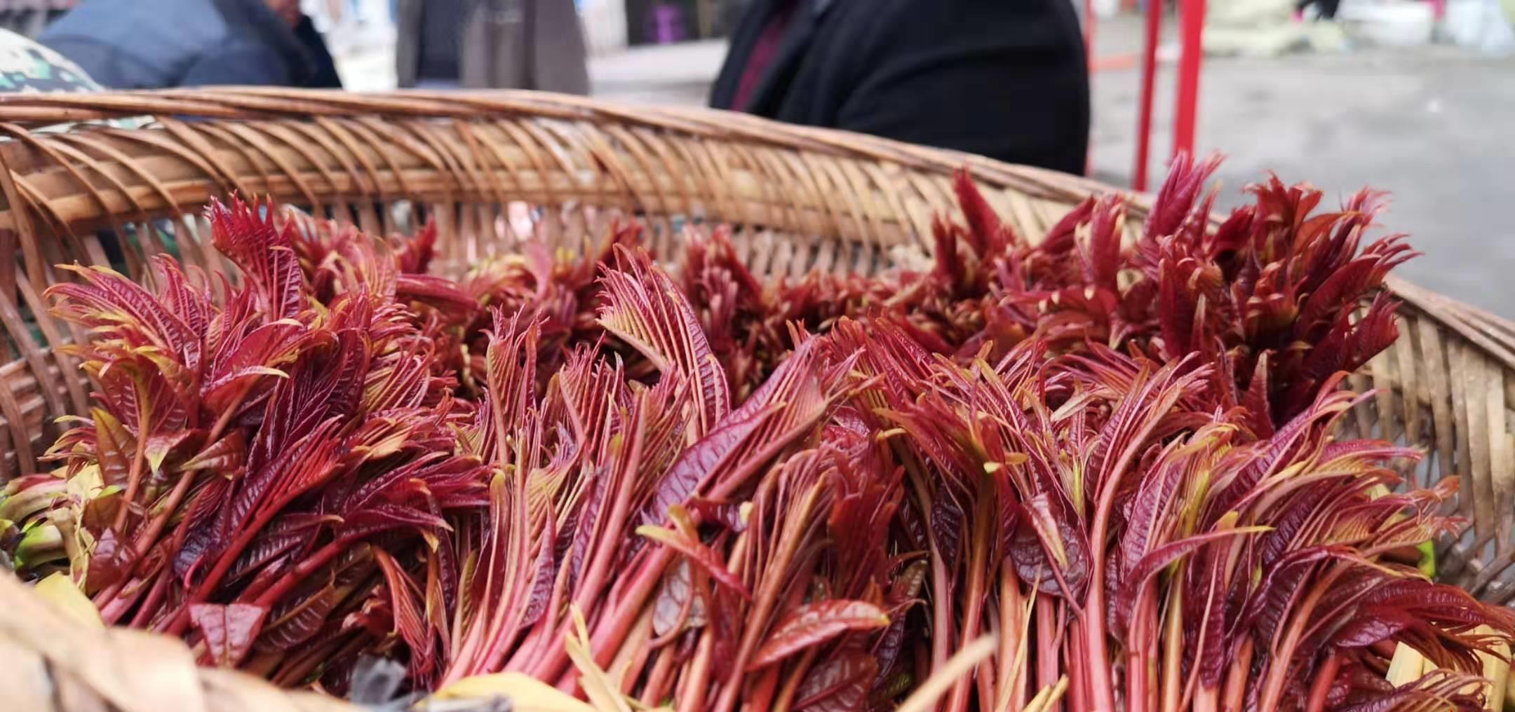 春天宁可不吃肉,也要吃此4种“芽菜”,好吃营养,错过要等一年