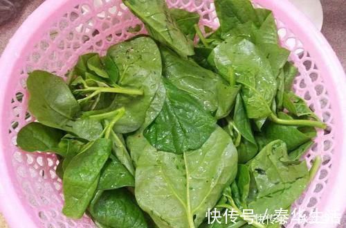 木耳菜|含钙量不输牛奶，嫩叶口感清脆爽口，俗称“豆腐菜”，吃过吗？