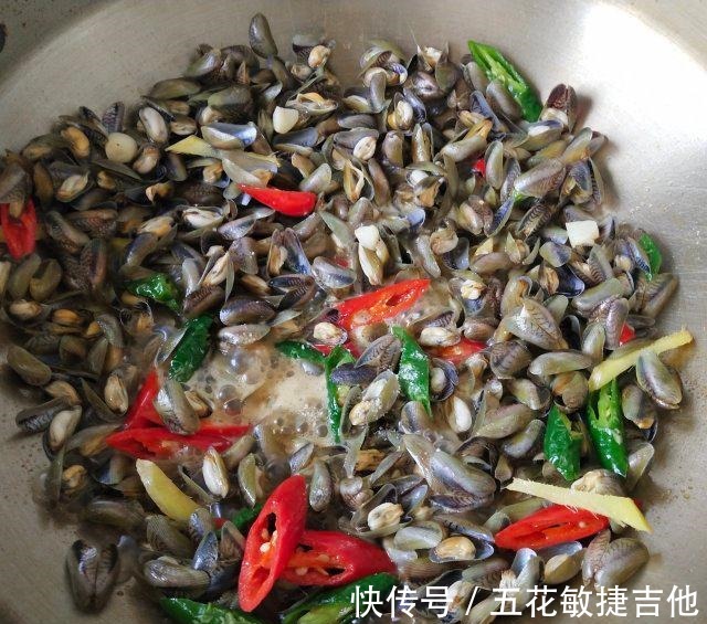 寻氏肌蛤|辣炒海瓜子，一口一个，很鲜美！