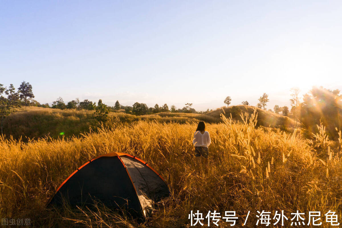 学校|英国本科停学一年被学校开除不能读了