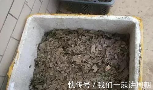 土壤|老花匠才知道的“养花催花利器”:家畜内脏、鱼鳞!