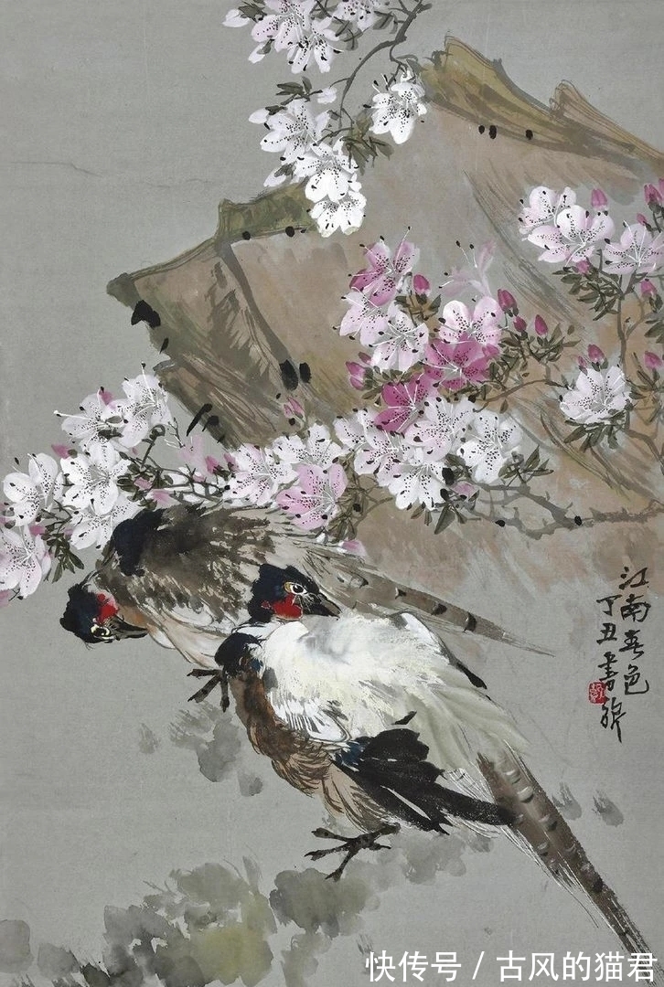 花鸟画!独特的魅力|张书旂花鸟画