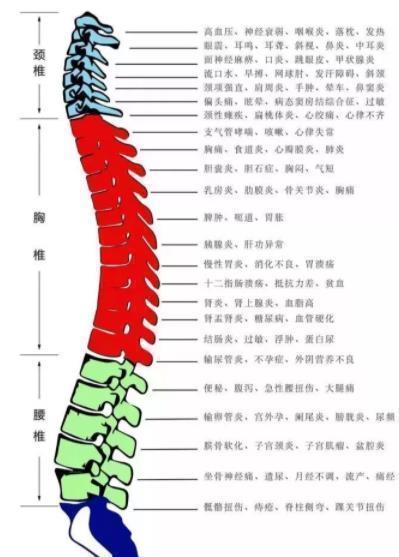 背部|养颜不如养背!灸通背部“一脉三关”,一通百通,百病不缠身!