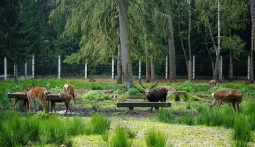 中年|对中国游客最友好的欧洲国家,不仅免签证,而且国民颜值非常高