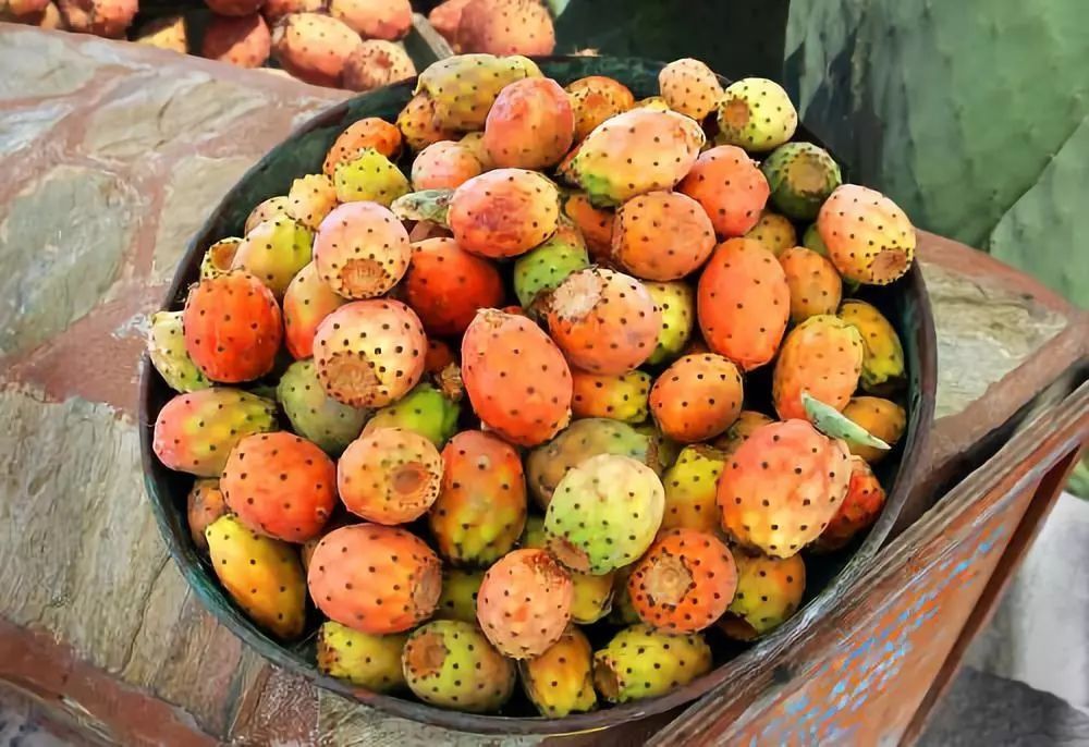  假如你在沙漠里了，上帝送你5种最难吃的水果，5选2，你会如何选