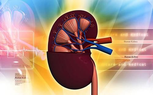 刚刚喝进去的水，需要多久形成尿液？或许让你感到意外