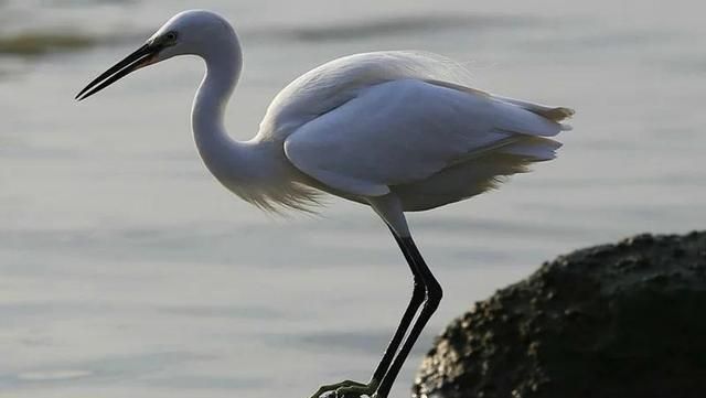 千古绝对@3副千古绝对,文采长出了翅膀,令人拍案称奇