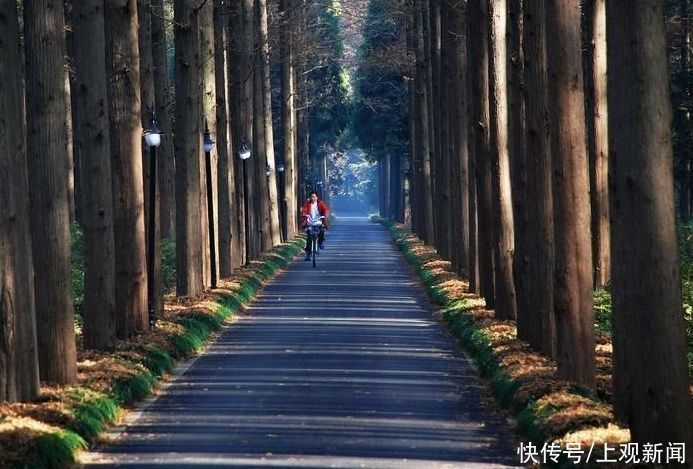 中薪|观星揽月，诗情画意……这家民宿既浪漫又有温度