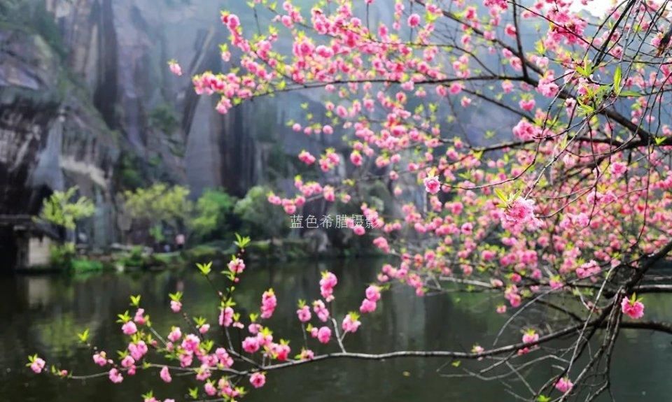 2021年4月，绍兴东湖最美的画面来了，桃红柳绿，小桥乌篷船