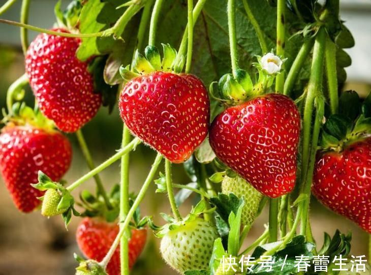 身高|冬季到来,孩子身高进入猛长期,家长做好3点,孩子猛蹿10公分