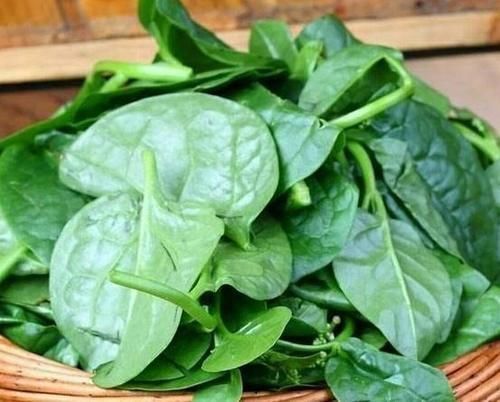 忠告|忠告：炒木耳菜不能放此物，怪不得身体这么差，现在知道还不晚！