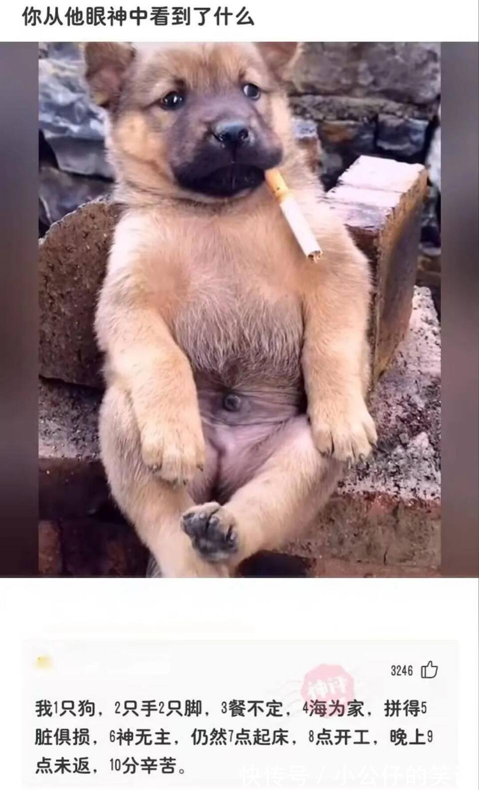 |搞笑合集:男生出去约会花610元不可怕,可怕的是花了410,扎心了