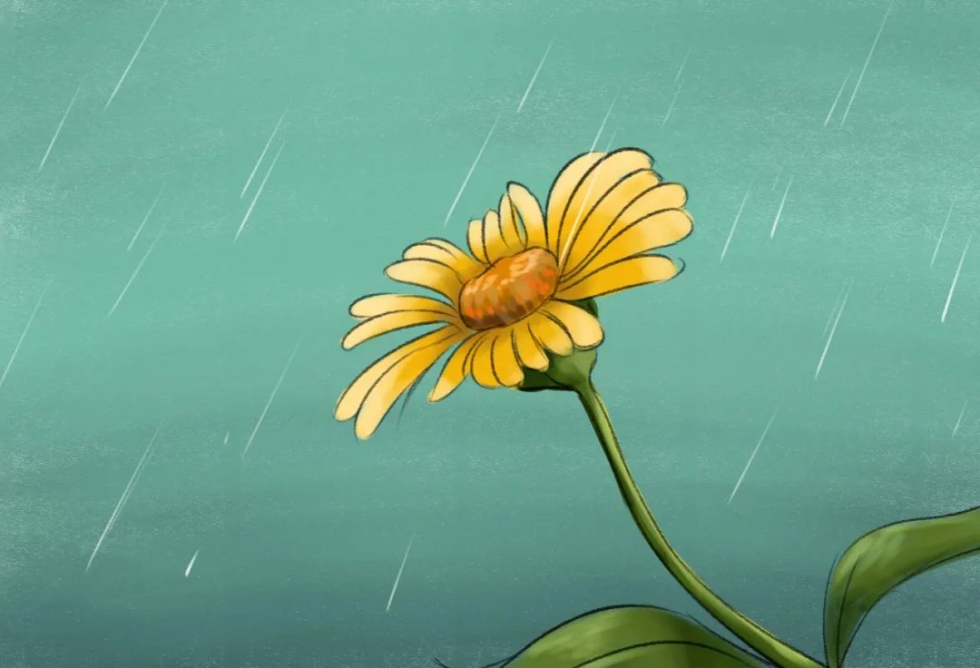 雨，一生的悲欢离合|诗词 | 梧桐叶