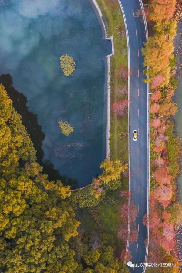 冬景|早安湖北｜武汉冬景，才不是你想的那样！