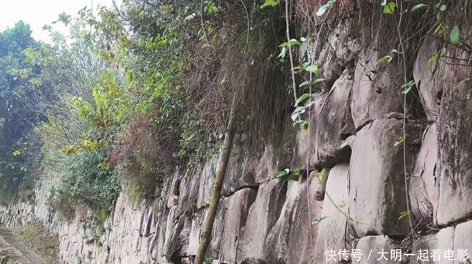 故城|一夫当关，万夫莫开！高坪这里藏着一座神秘故城，你知道它的故事吗？