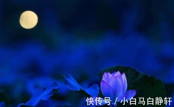 霉运|到了年底，霉运散、好运来，4属相抓牢机会，有钱有福有横财