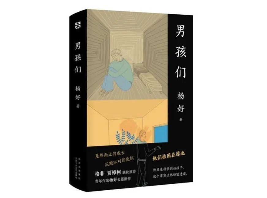 罗老师$为什么格非、邱华栋被这部小说里的“数字原住民”打动