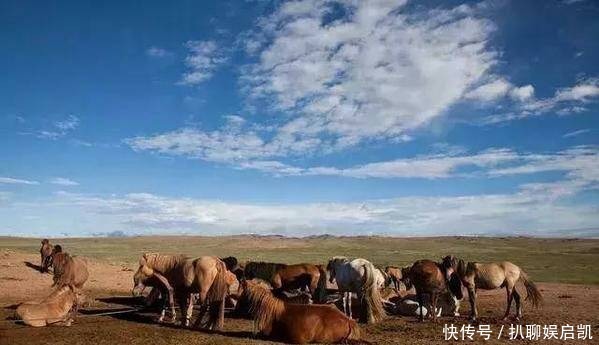 古代|入侵的匈奴人是什么样的