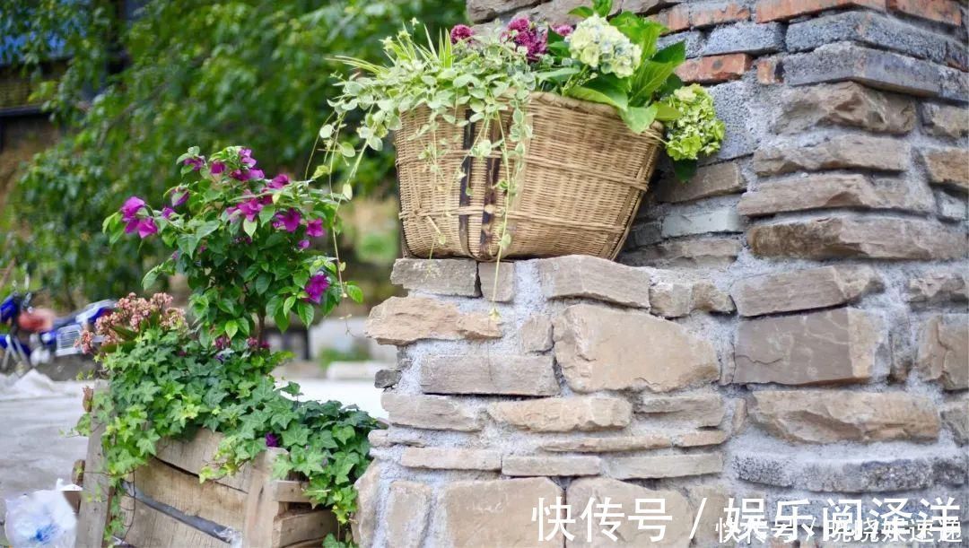 在乡下改造一个小院,种菜养花天天都是乡村田园梦,生活如此惬意