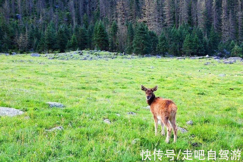 马尼干戈|新惊喜！被川西这座小城的美景拿捏住了，一半在天上，一半在人间