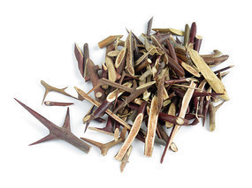 皂角刺|一根皂角刺,治病大功效!4种妙用法,4大疾病,百治百效!