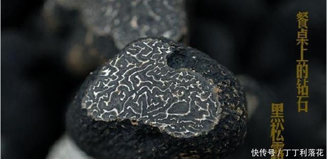 蒸鸡的方法很多,而有了黑松露加入,你将品尝到不一样的味道口感