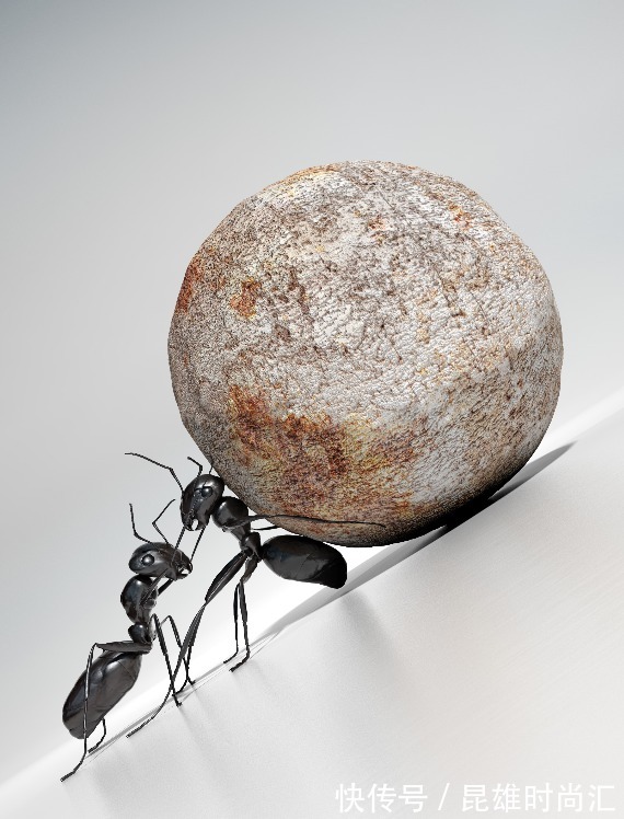 胆固醇|高血脂是吃出来的?坚持“两低一高”饮食,2个月轻松吃掉高血脂