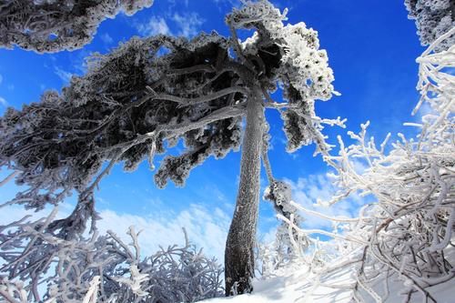 衡山|祈福圣地衡山成人间仙境，南国雾凇离广东仅2小时，游客：大美！