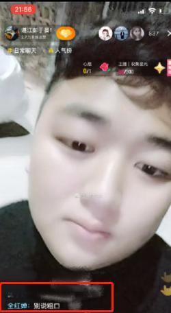 范扬&至高荣誉,全红婵封神一跳制作成国画!“训话”哥哥:不要说脏话