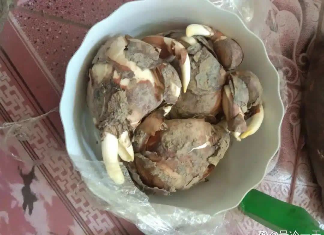 蝴蝶兰开花不是一次性,花后剪一剪,还能继续开花