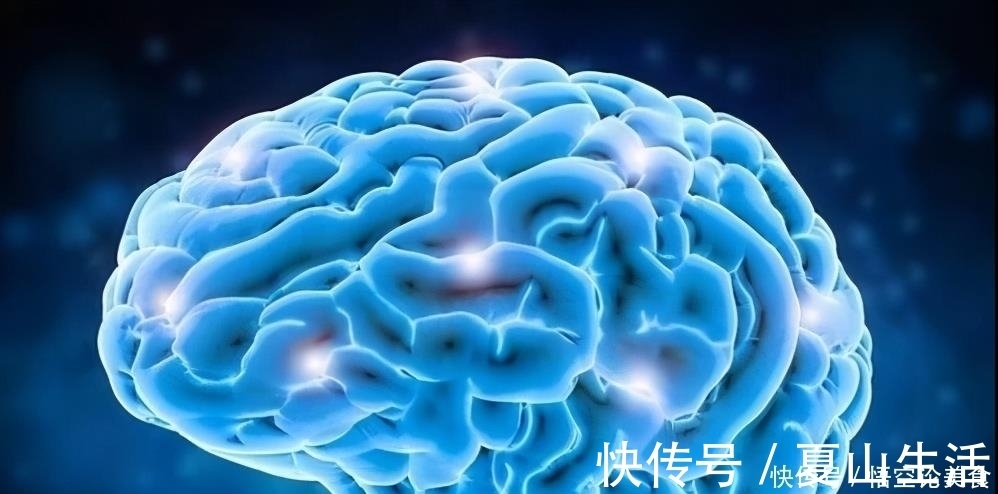 发育|胎儿有3个大脑发育“高峰期”,妈妈要抓住时机,对孩子有帮助