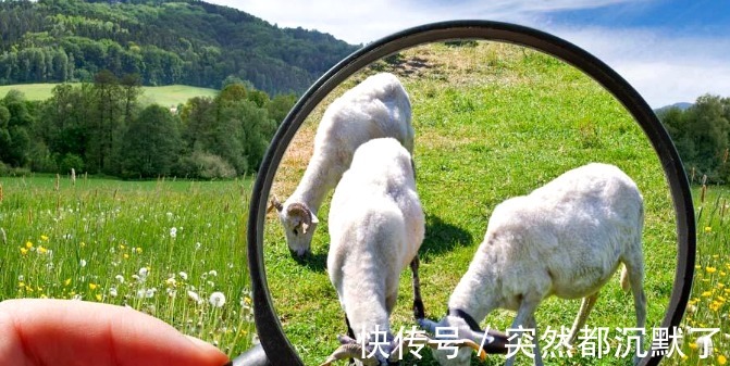 放大镜|古人近视了怎么办没有眼镜还可以这样做，看完不得不佩服！