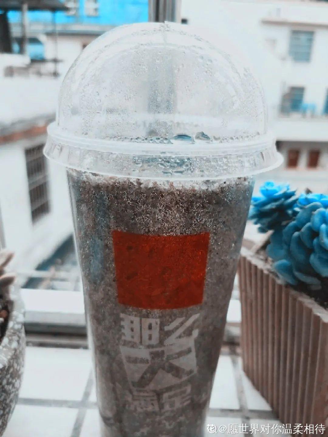 玉米棒子插盆里,7天冒出小森林,比绿萝吊兰好看