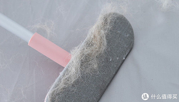 静电|为什么屋子明明是密闭的，家里仍然有很多“毛毛”？该怎么清理？