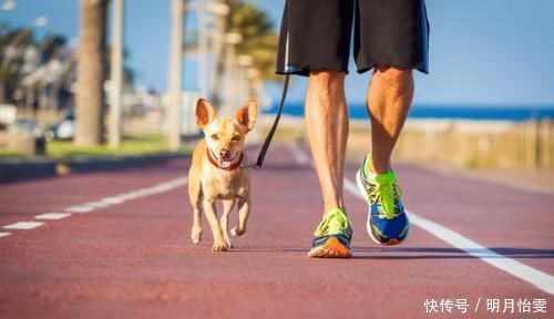 减脂|走路也是一项有效燃脂运动,每天走1万步,2个月瘦12斤以上