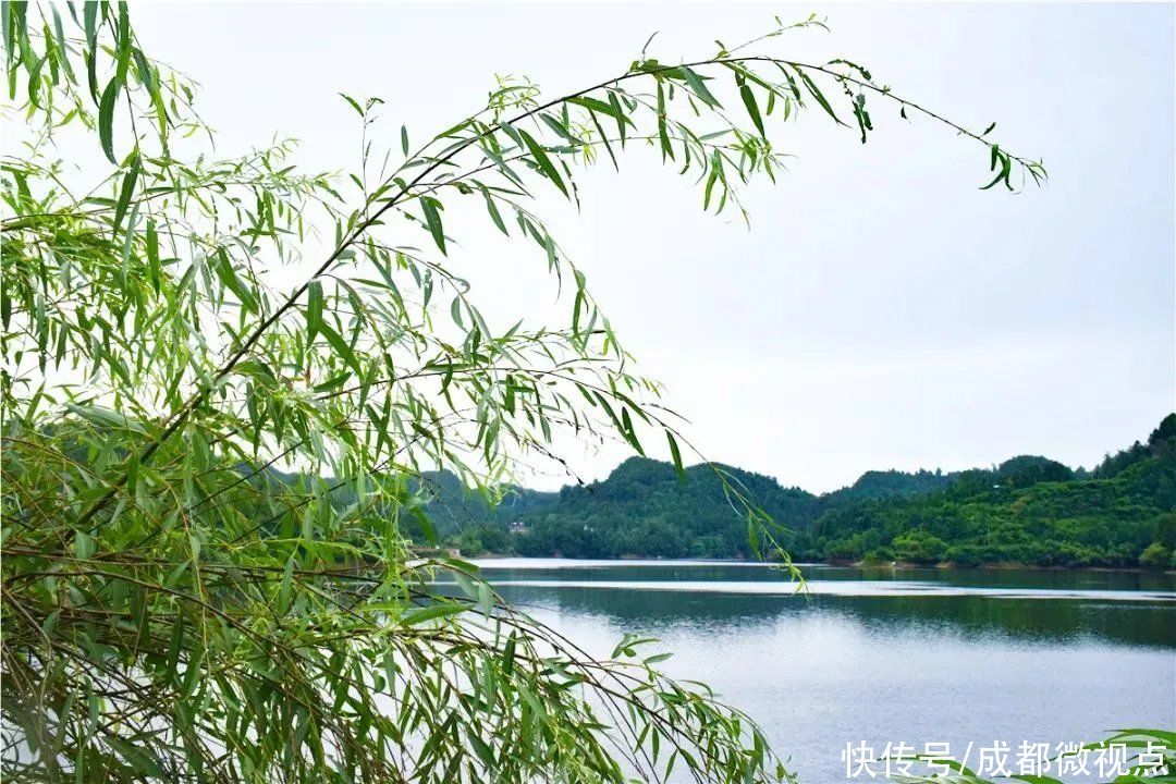 在初夏的风里，与醉美玉湖温柔相逢